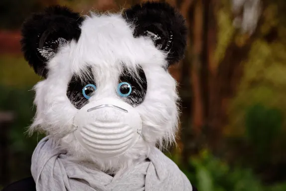 Casino Mars Bet Support